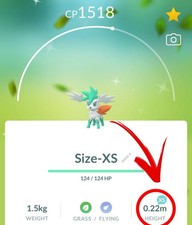 ✨ Rare Shiny Shaymin Pokemon ✨ Sky form - Custom OT - GO to Home (Size - XS) picture