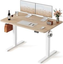 FLEXISPOT EN1 One-Piece Standing Desk, Electric Adjustable with Memory Presets, picture