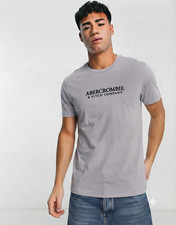 New Abercrombie & Fitch Gray Short Sleeve Regular Fit Tshirt - XL picture