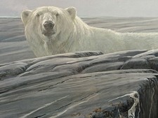 Robert Bateman Arctic Landscape Polar Bear Signed Framed Print 780/5000 COA picture