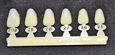 #10 Upper Left Lateral tooth - Dental Polycarbonate Temporary Crowns 6 sizes  picture