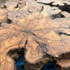 Set of 5 Olive Wood Live Edge Burl Cookies for Resin Projects, Wood Art picture