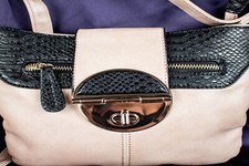 ALDO New Champagne Pink Navy Blue Genuine Leather Crossbody Handbag Size Medium picture