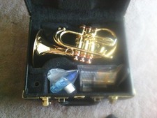 CAROL / TAYLOR PHAT PUPPY FLUGELHORN picture