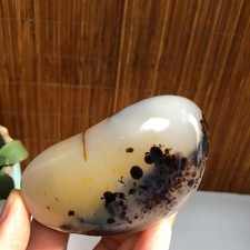 83mm Natural aquatic plants agate pretty Crystal specimens 202g A1486 picture