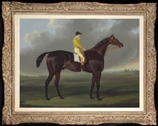 Hand Painted Oil Painting Old Master-Art Antique style Animal Vintage Racehorse picture