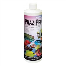 Aquarium Solutions PraziPro, 16 fl oz picture