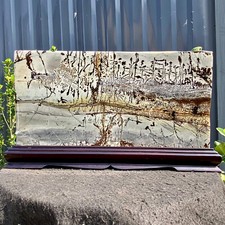 14.55LB Beautiful Natural Chinese Dendritic Limestone Picture Stone Guohua-Rare picture