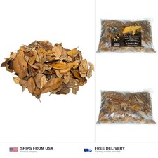 XYZReptiles Premium Live Oak Leaf Litter Isopod Substrate Terrarium Bedding (... picture