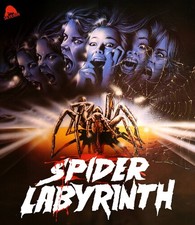 The Spider Labyrinth [New Blu-ray] picture