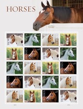 100 horse-themed stamps from 2024 Creative stamp collectibles picture