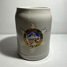Vintage Garmisch USA Ski School 0.5L German Stoneware Beer Stein Mug picture