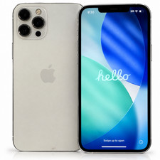 Apple iPhone 12 Pro Max - 256 GB - Silver (Unlocked) picture
