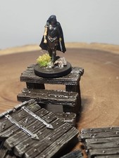 Custom Hand-painted Siona Captain Of The Pyleas W/Custom Terrain Pieces picture