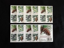 Holiday Evergreens Forever Stamps - Sheet of 20, Unused 2010 picture