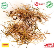 Natural Dried Mimosa Pudica Roots Sensitive Plant Healthy Shameplant From Ceylon picture