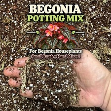 Begonia Potting Mix Rex Angel Wing Cane Rhizomatous Houseplant Indoor Soil picture