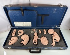 Nasco Life/Form Human Reproduction & Development 9pc Manikin Set Embryo to Fetus picture