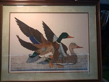 J Dan Mitra Framed Ducks Mallards Art Print Signed Limited Ed. Of 400 Huge Size picture