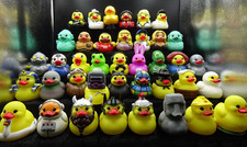 Rubber Ducks by AniMolds / 'Pick Your Favorites or Collect'em All