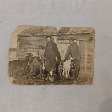 Antique 1922 Men Hunting Dogs Sighthounds Hounds Cabin Real Photo Postcard RPPC picture