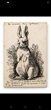 Antique 1911 Rabbit Pen & Ink Drawing Edwardian Humorous Original Art picture