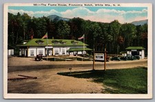 Flume House Franconia Notch White Mts NH Posted Postcard TS-228 picture