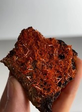 Natural Red Crocoite Crystal Specimen – Adelaide Mine, Dundas, Tasmania, Austral picture