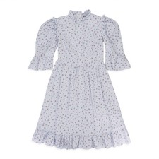 NWT BATSHEVA FLORAL STRIPE SPRING PRAIRIE BLUE DAY DRESS SIZE 2 $455 picture