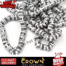 50 Pcs Pigeon Leg Bands Rings With Word Earrings Quality Durable White Color picture