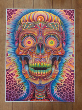 Skull Trippy Psychedelic Artwork Poster 18x24in picture