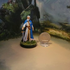 Custom Dungeons & Dragons Painted Noble Statesman Miniature D&D DnD  picture