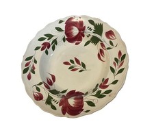 British Adams Rose Stick Spatter Ironstone Hand Painted Stamped 11” Plate  picture