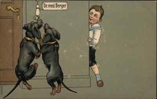 Boy Watches Watch Dogs with Bone Dr. med Burger Comic c1910 Postcard picture
