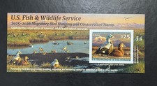 Scarce RW92B 2025-26 Federal Migratory Bird Hunting Stamp. MNHOG. Well Centered. picture
