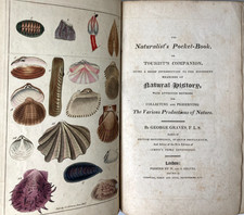 1817 Naturalist’s Pocket-Book Graves 1st Ed Darwin Manual Hand Colored Plates picture