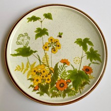 Mikasa Natural Beauty Fresh From the Garden Dinner Plate C 9060 Vintage (1)  picture