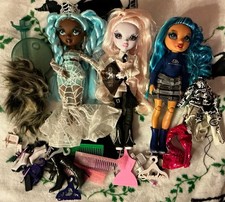 Rainbow High Shadow High Doll Lot + Assorted Accessories picture