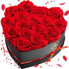 16-Piece Preserved Rose Birthday Eternal Rose Preserved Flowers Red Roses picture