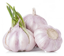 California Early Softneck Garlic | Heirloom Non-GMO Seed for Planting & Eating picture