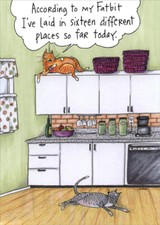 Oatmeal Studios Two Cats in Kitchen Funny  Humorous Birthday Card picture