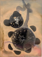JOSE TONITO Original ACEO Aliens Have Pets, Too. This is a cute one. picture