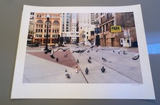 Jeremy Deputat Pigeons Art Print Photo Signed Numbered X/21 Rare Sold Out picture