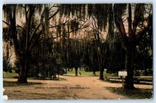 1910 Jacksonville Florida FL Vintage Postcard Entrance Riverside Park Unposted picture