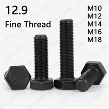 Fine Thread Black 12.9 Steel Hexagon Head Bolts M10/M12/M14/M16/M18/M20/M24-M36 picture