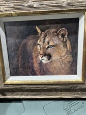 ORIGINAL PAINTING  (Möller)  Mountain Lion COA SIGNED FRAMED ONE OF OIL PAINTING picture