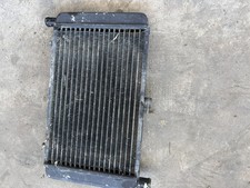Cagiva Arrow C 12 Radiator picture