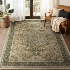 Jainmy Vintage Distressed 5x7 Area Rugs for Living Room Bedroom Non Slip Wash... picture