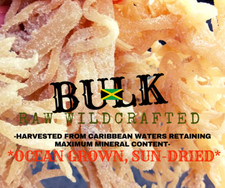 Rastarafi Sea Moss Irish Moss (Bulk) | Raw Wildcrafted Seamoss Superfood picture