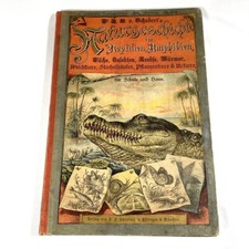1886 Natural History by Dr. G.H. v. Schubert, 1st Amphibians, Fish, Insects picture